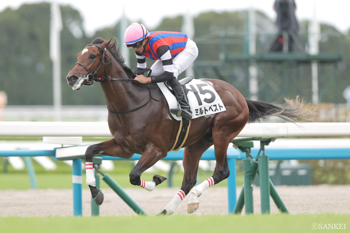 2025年10月19日京都新馬戦/1着ミルトベスト