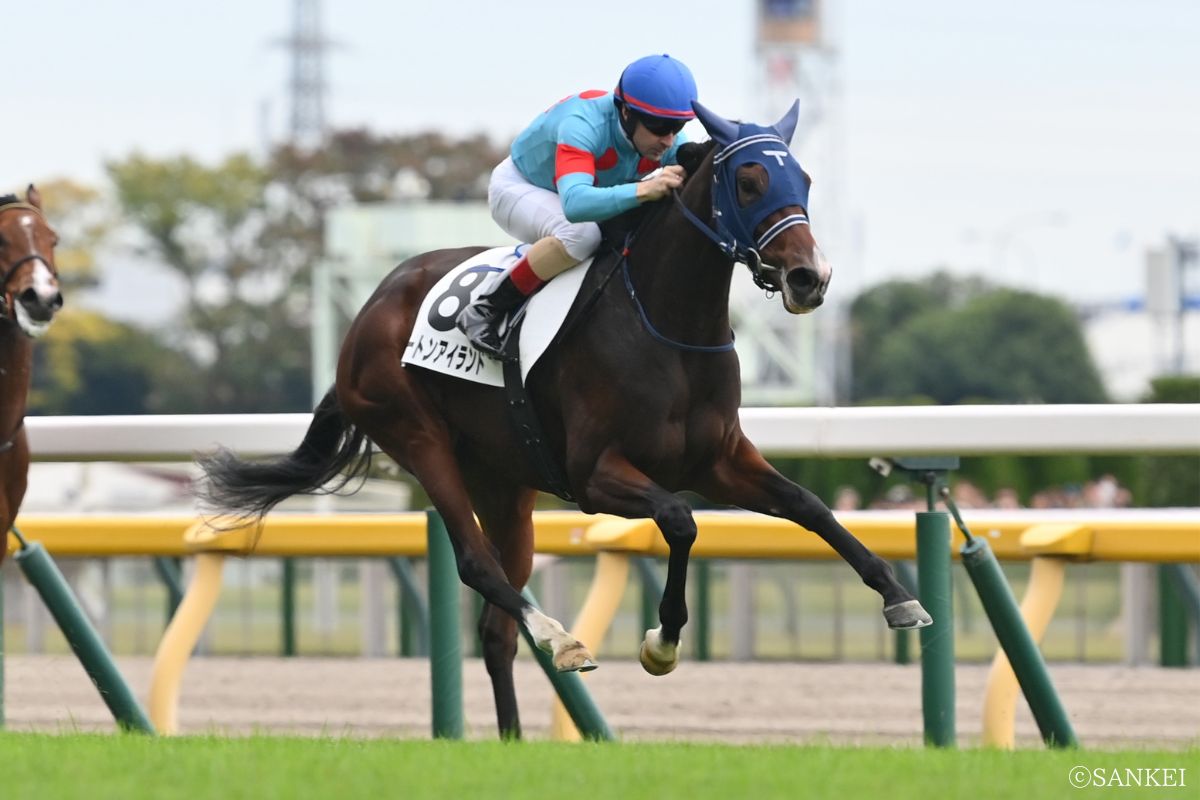 11月2日東京・新馬戦/1着モートンアイランド