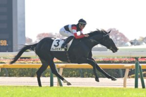 3億円超ホースはいまだG1未勝利…2026年の飛躍に期待したい高額取引馬5選