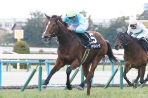 【中山牝馬S・能力分析】元トラックマンが実績×適性×騎手を数値化！最も評価できる馬は…？