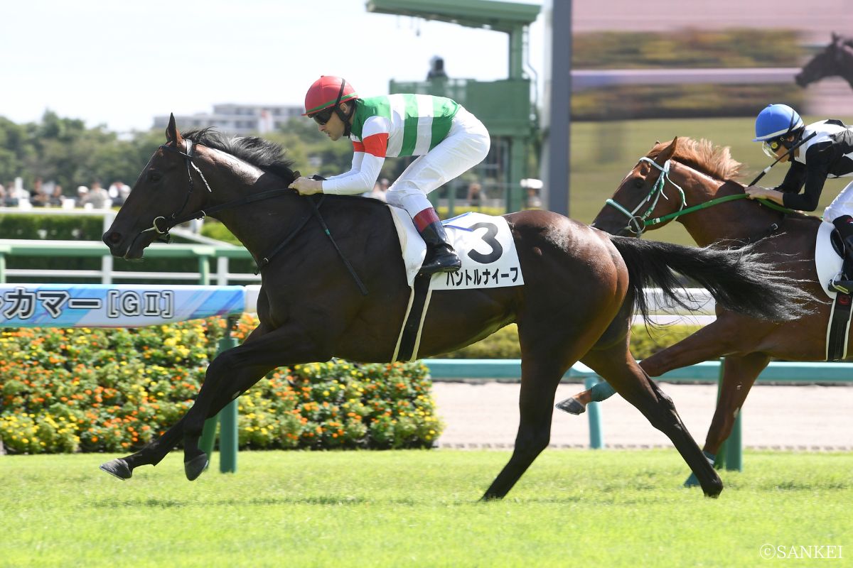 2025年9月21日中山2歳未勝利/1着パントルナイーフ