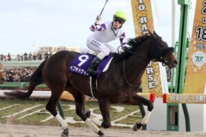 【武蔵野S 能力分析】元トラックマンが有力馬を10段階評価！南部杯3着ペプチドナイルの総合評価は？