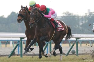 GⅡ 京都記念のデータ分析【レースレコード・過去の結果 – 1980年以降 ｜ 重賞データ 】