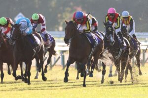 【敗戦の本質｜エリザベス女王杯】リンクスティップは、なぜ敗れたのか？「C.デムーロ騎手はさすがだったが…」