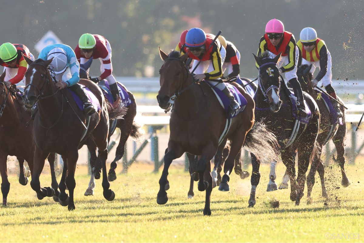 2025年エリザベス女王杯を制した時のレガレイラ