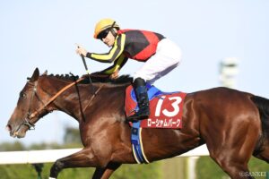 【アルゼンチン共和国杯 前走レビュー】有力馬を10段階評価！前走で抜群の内容だったのは…？