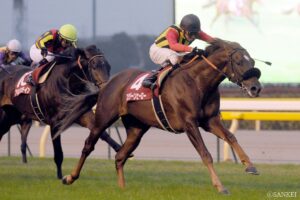 GⅡアルゼンチン共和国杯のデータ分析【レースレコード｜過去の結果 -1980年以降 】