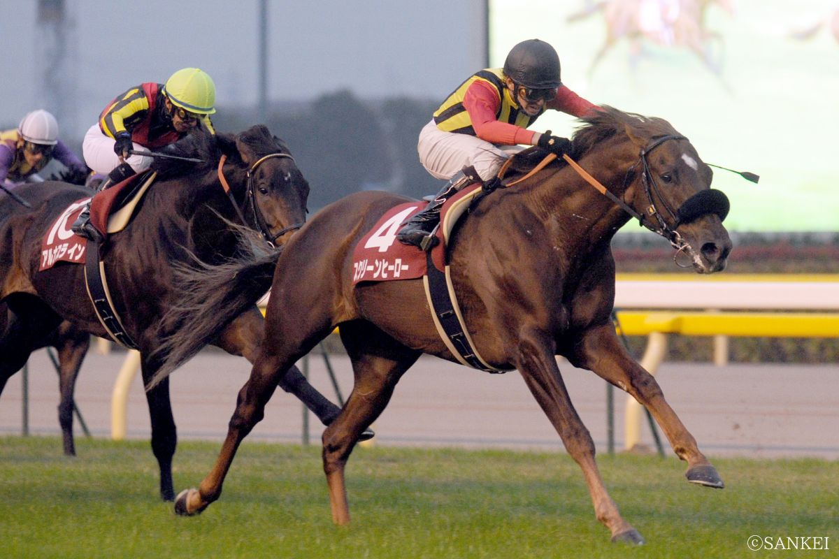 2008年アルゼンチン共和国杯を制した時のスクリーンヒーロー