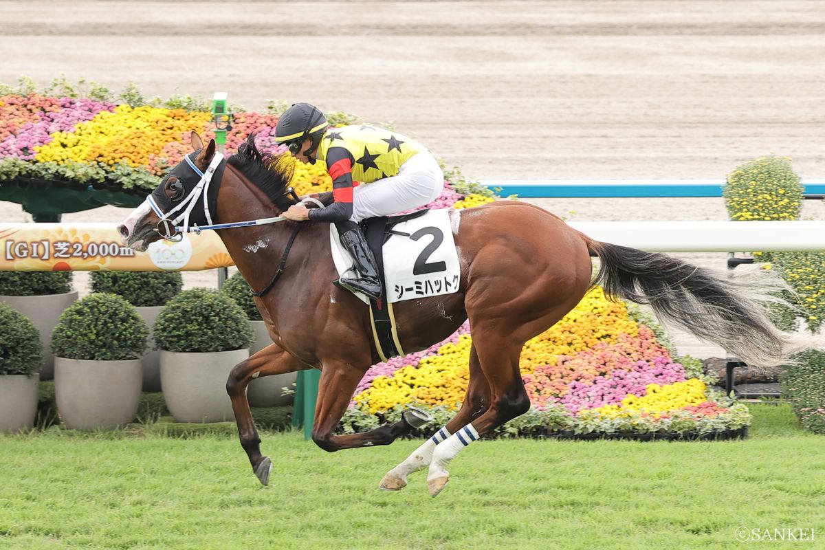 2025年10月11日京都未勝利/1着シーミハットク