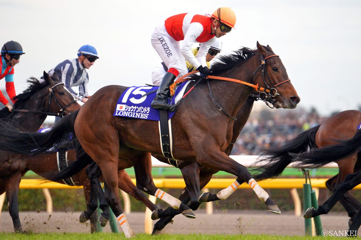 2015年ジャパンカップを制した時のショウナンパンドラ