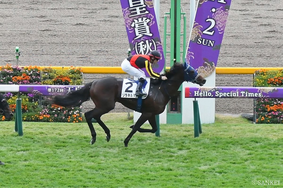 11月1日東京・未勝利戦/1着ソラネルマン