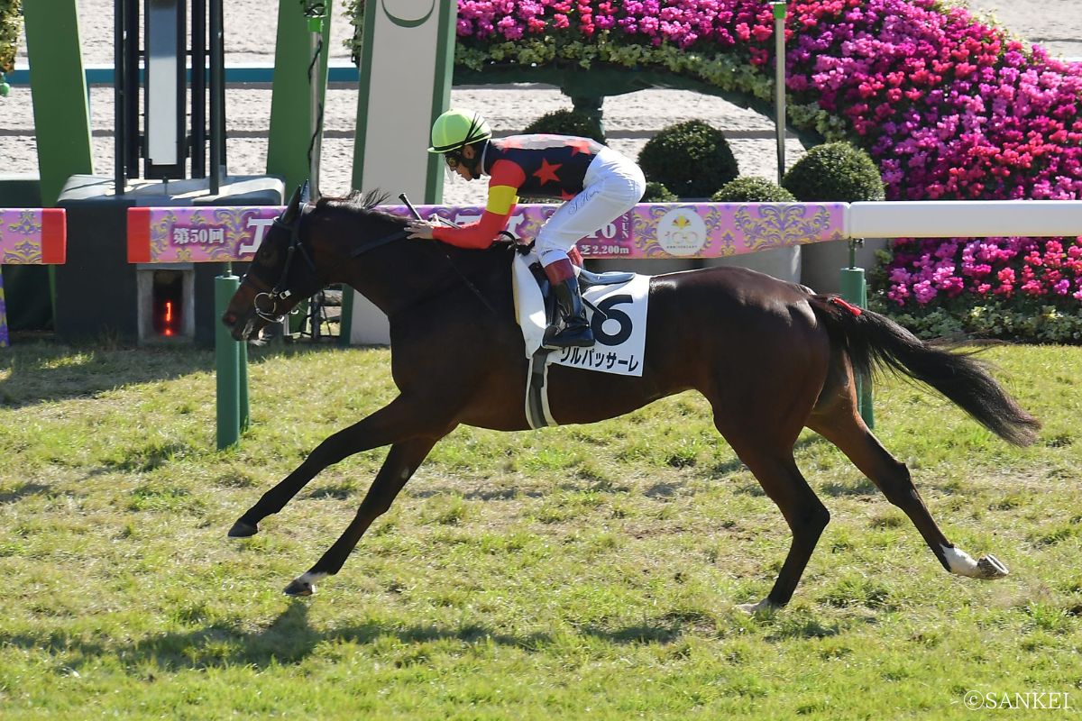 2025年11月15日2歳未勝利(京都)/1着ソルパッサーレ