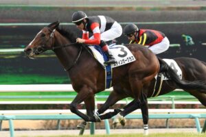 【アルゼンチン共和国杯 調教診断】S評価は1頭のみ！ローシャムパーク、スティンガーグラスの評価は？