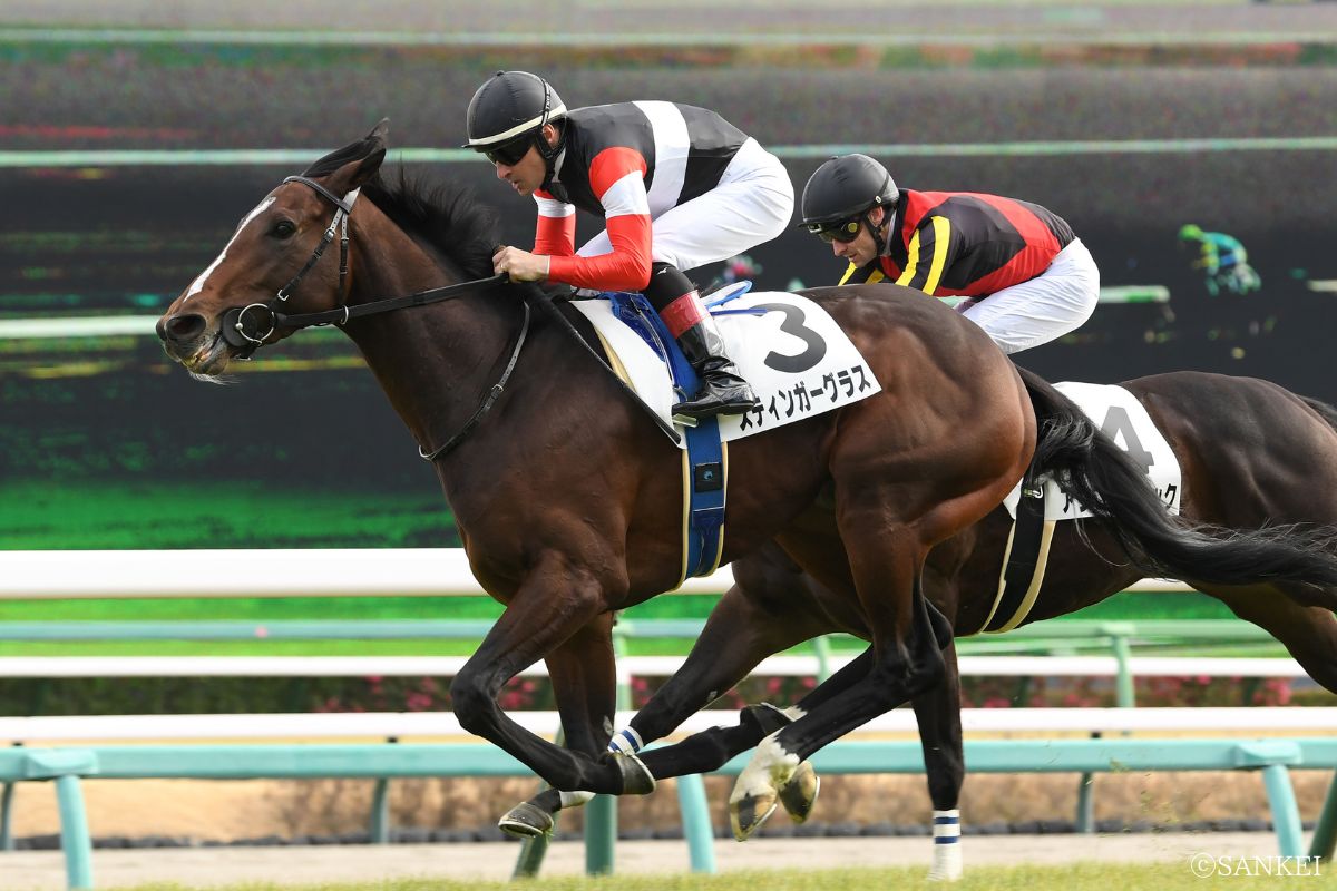 2024年1月7日新馬戦を制したスティンガーグラス