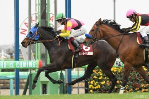 重賞2勝・シュトルーヴェの評価は？「能力的には互角以上」【アルゼンチン共和国杯予想】