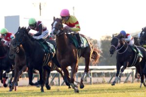 【出馬表】京阪杯