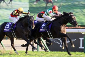 万事休す…？絶体絶命のピンチを突破した名馬（5）名手が魅せた神業！針の穴に糸を通すような…