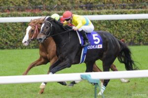 【登録馬】ジャパンカップ