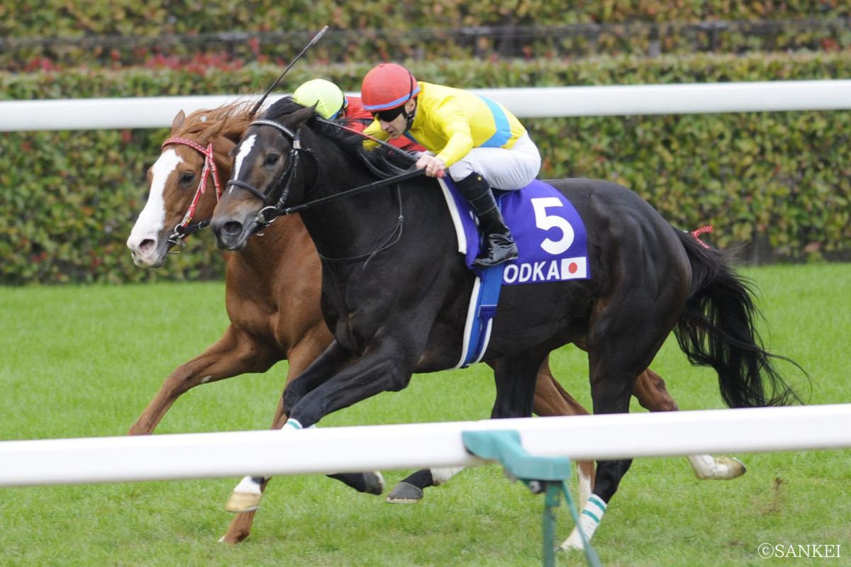 2009年ジャパンカップを制したウオッカ