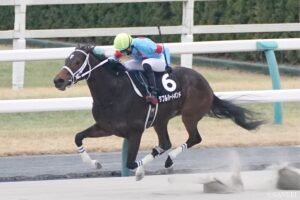 【みやこS 能力分析】元トラックマンが有力馬を10段階評価！気になるダブルハートボンドの評価は？