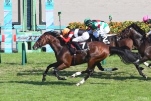 【東大流・ポテンシャル分析 京都2歳S】デビュー2連勝のウイナーズナインが最有力