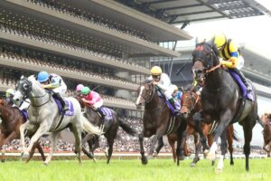 【出馬表】マイルCS