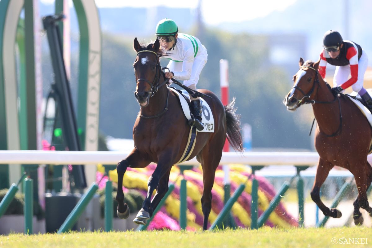 2025年11月16日2歳新馬(東京)/1着アクセス