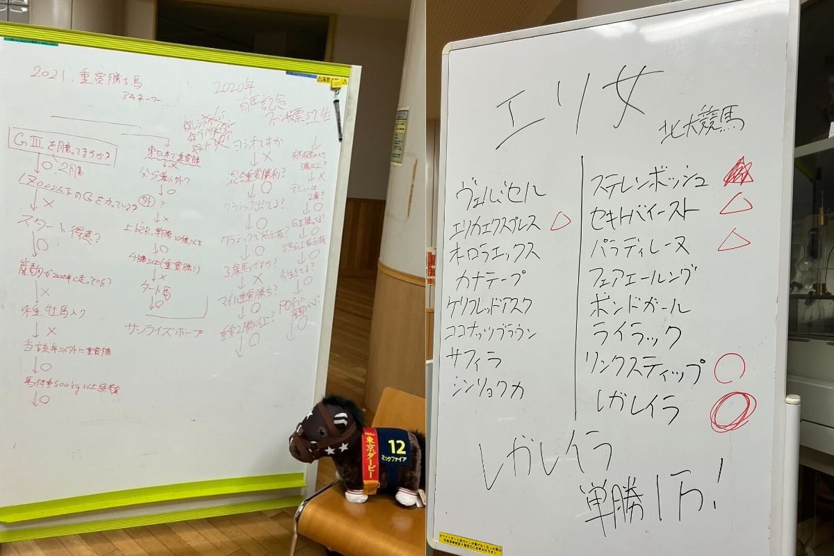 北海道大学競馬同好会