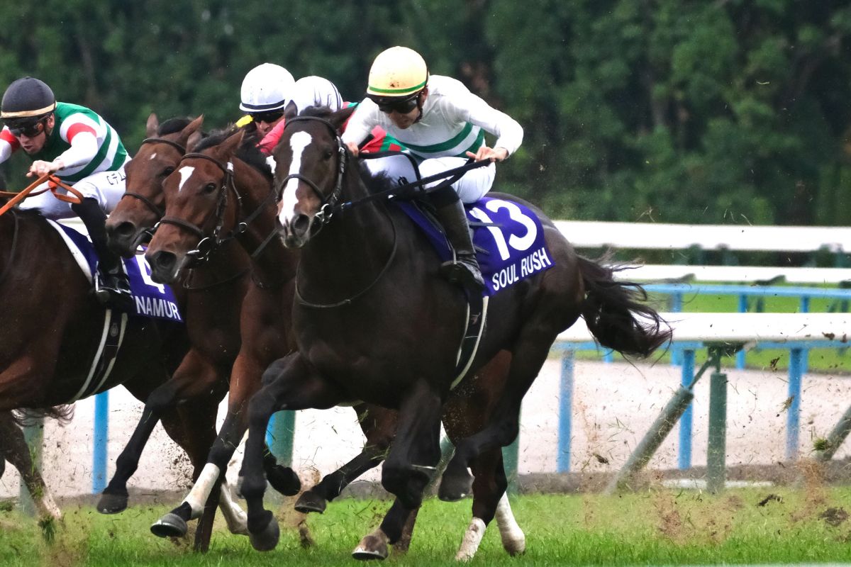 九州大学競馬サークル(撮影：九大学競馬サークル代表)