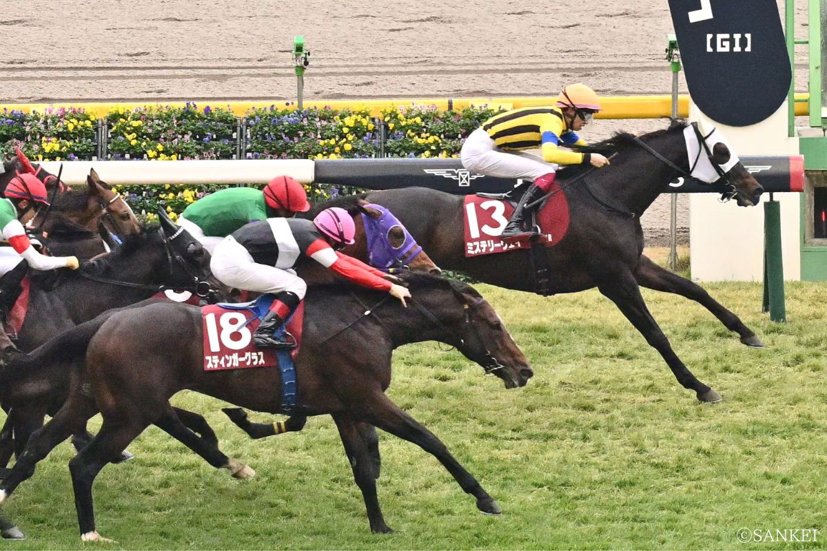 2025年アルゼンチン共和国杯を制した時のミステリーウェイ(松本大輝騎手)