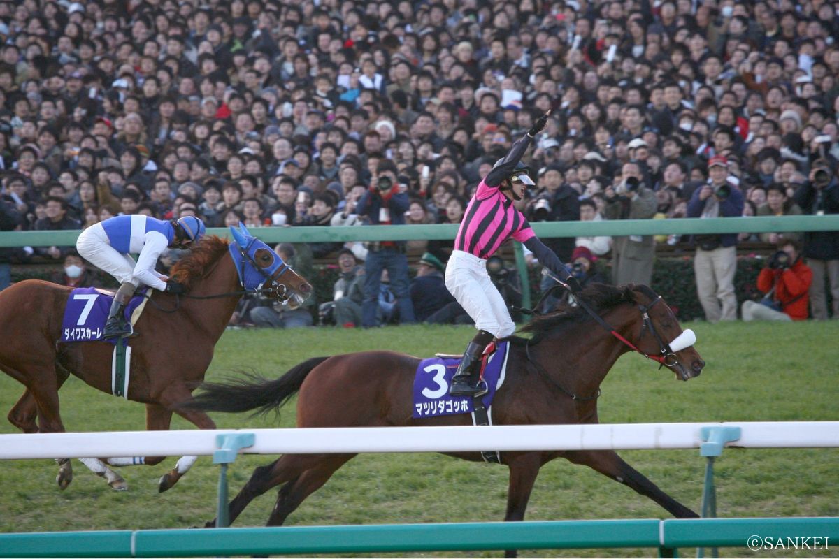2007年有馬記念を制した時のマツリダゴッホ