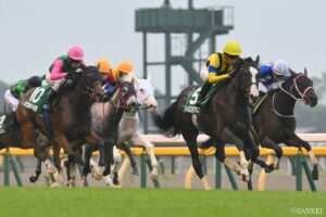 【阪神JF 調教診断④】アルテミスSで2着に好走したミツカネベネラなど5頭の調教解説