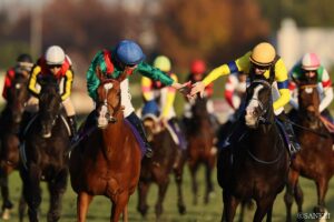 【ジャパンカップ 有力馬の採点】カランダガンやマスカレードボールなど、注目馬3頭を徹底分析