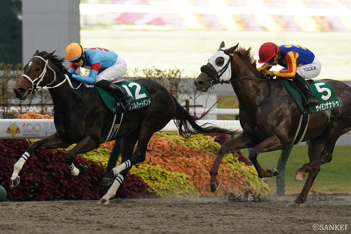 2025年みやこSを制した時のダブルハートボンド