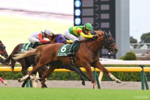 【朝日杯FS｜過去10年の馬番別成績】アドマイヤクワッズは7枠12番、エコロアルバは3枠3番に決定