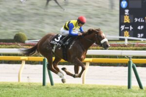 【WIN5研究所】12月14日（日）本線は30点！メインの阪神JFは、有力馬アランカール含む5点勝負