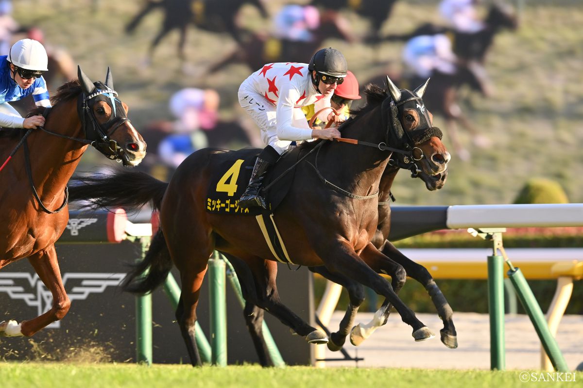 2025年キャピタルSを制した時のミッキーゴージャス