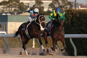 【敗戦の本質 チャンピオンズカップ 有力馬の採点】ナルカミやダブルハートボンドなどを徹底分析