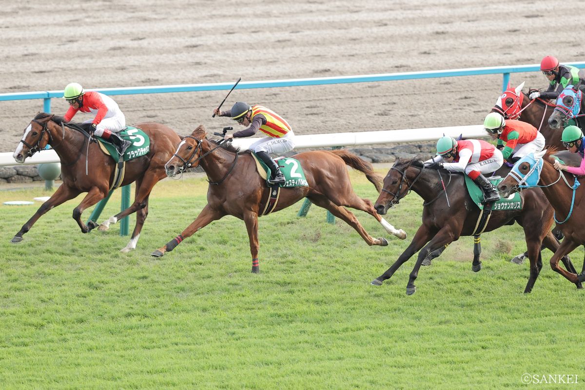 2025年ファンタジーS/1着フェスティバルヒル(写真中央)、2着ショウナンカリス(左から3番目、緑帽)