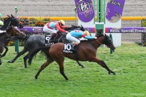 【ターコイズS 前走レビュー】有力馬を10段階評価！前走で抜群の内容だったのは…？