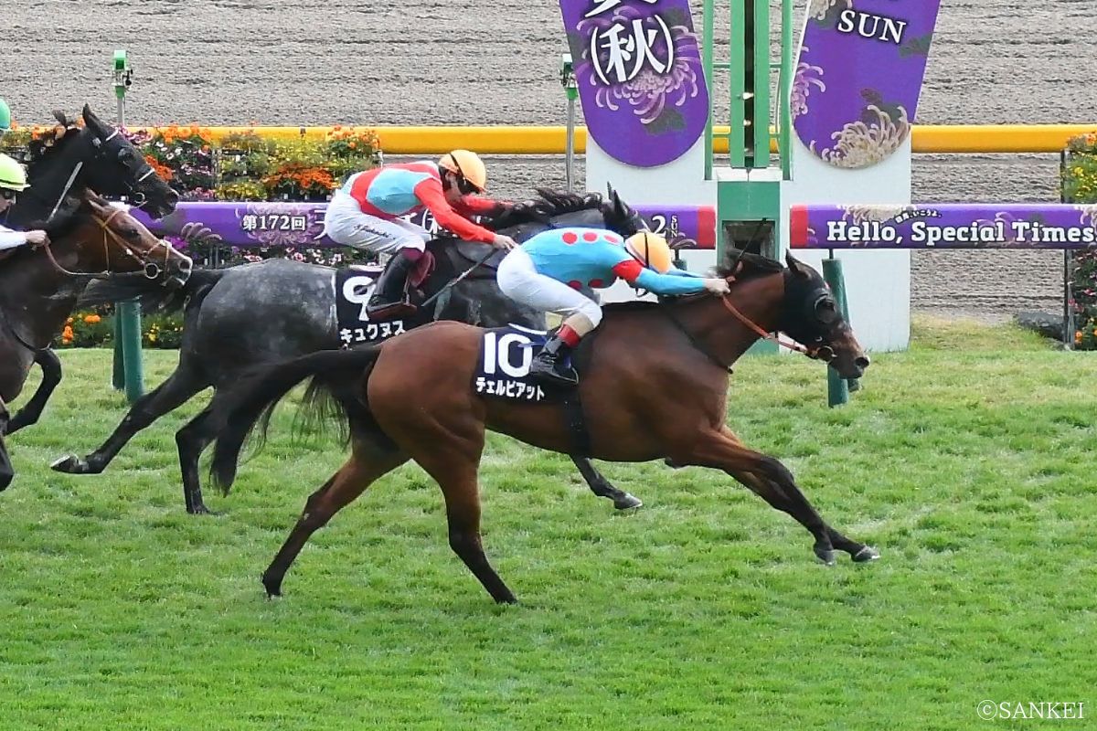 2025年紅葉Sを制した時のチェルビアット