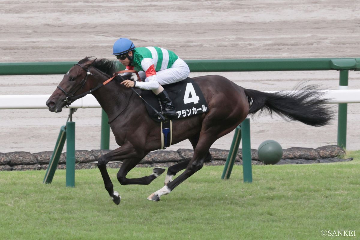2025年野路菊Sを制した時のアランカール