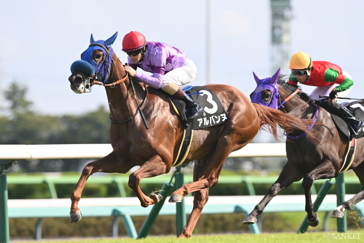 2025年サフラン賞を制した時のアルバンヌ