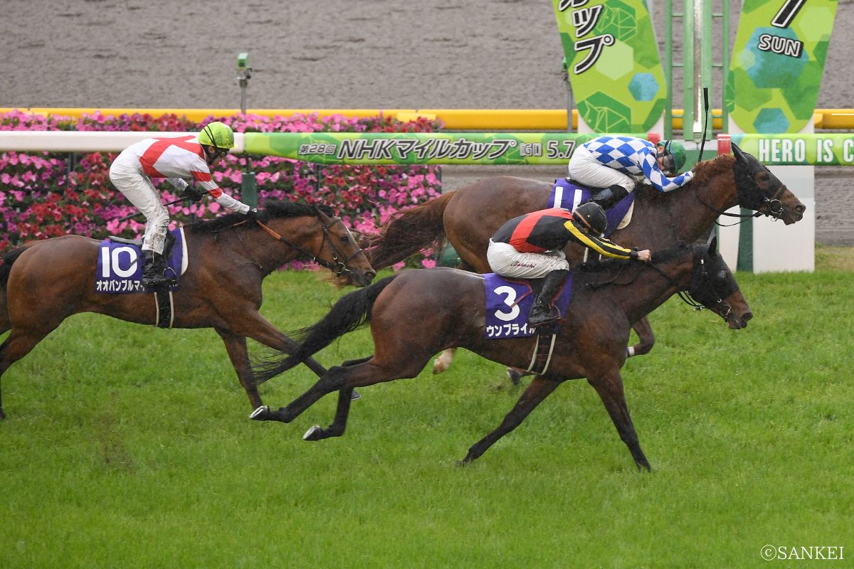 2023年NHKマイルC/1着シャンパンカラー、2着ウンブライル