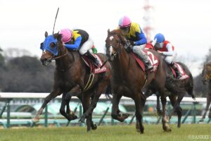 【ステイヤーズS 前走レビュー】有力馬を10段階評価！ホーエリートやチャックネイトの前走内容は…？