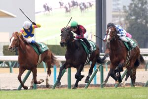 【登録馬】京都金杯