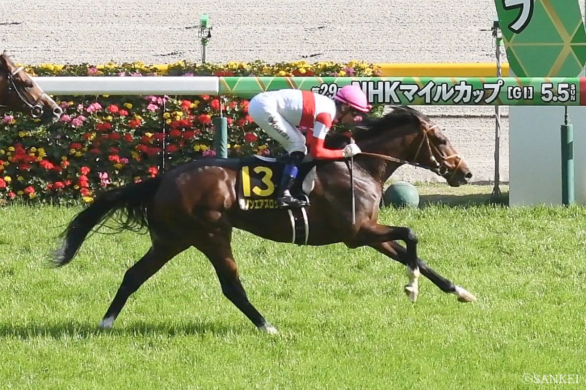 2024年プリンシパルSを制した時のダノンエアズロック