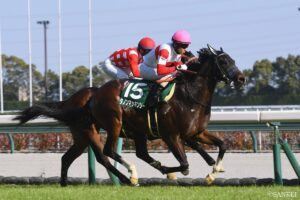 【シルクロードS・全頭調教診断】S評価は1頭！調教No.1は「好調教馬多い中で、頭ひとつ抜けた存在」