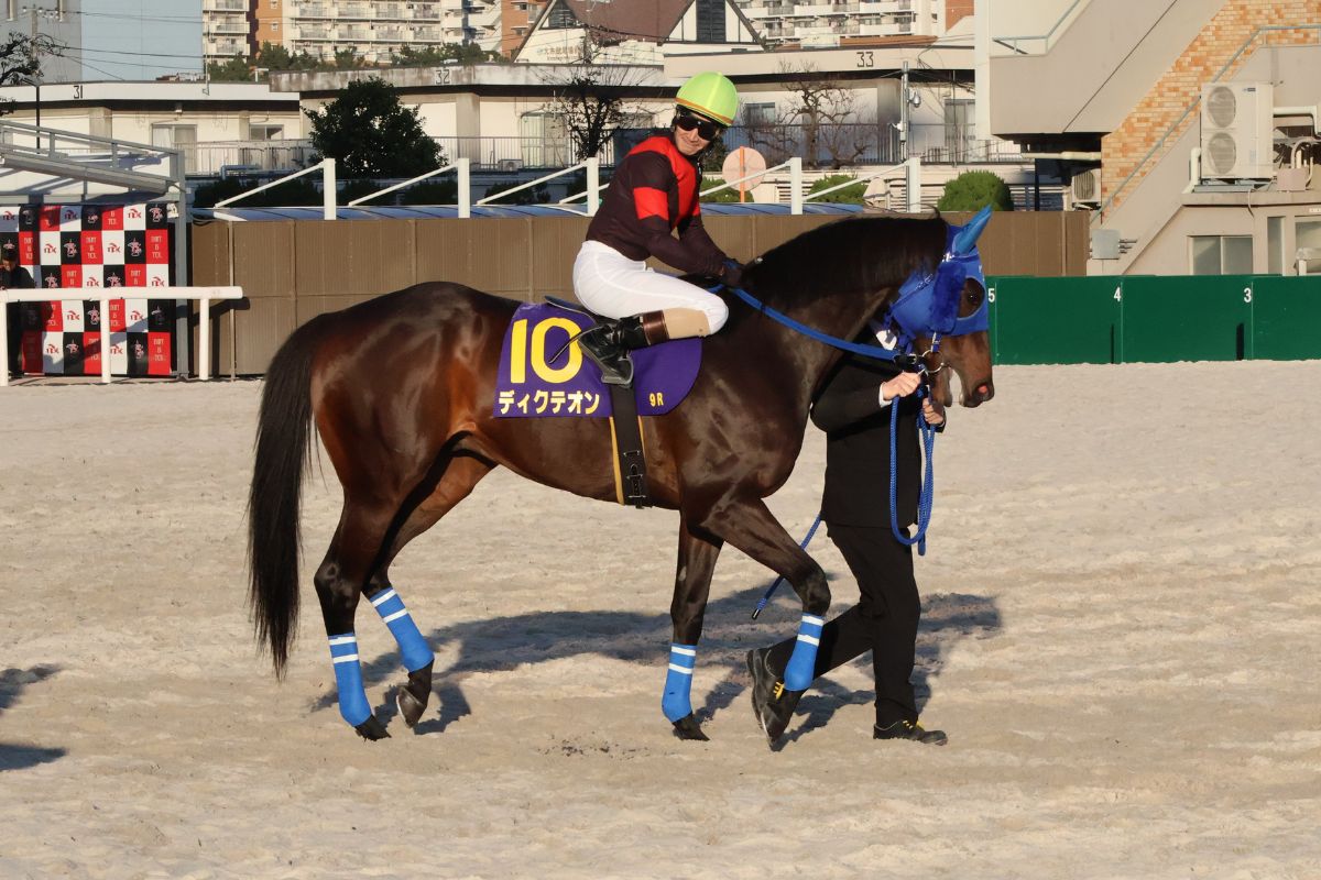 返し馬・ディクテオンと矢野貴之騎手