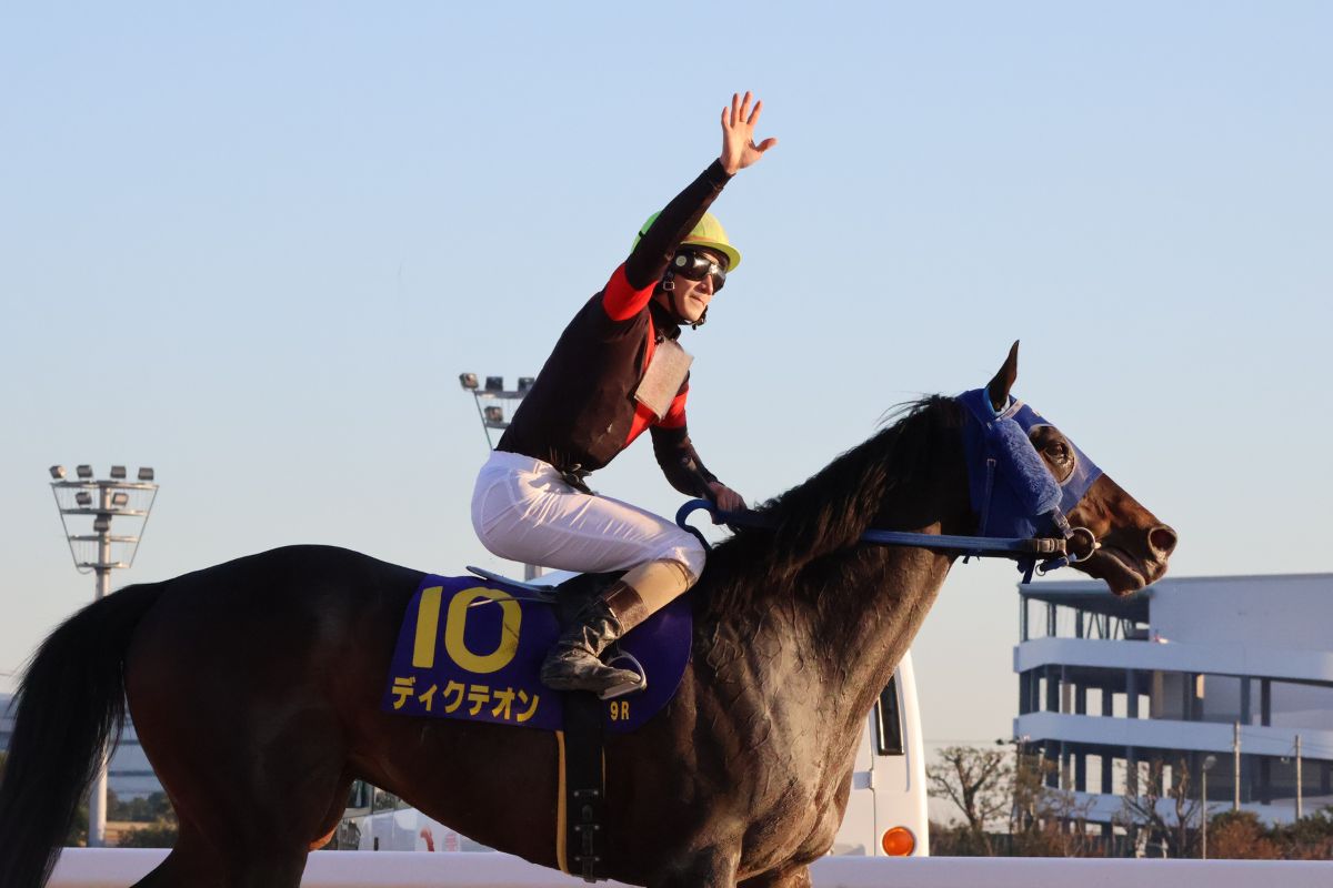 2025年東京大賞典を制したディクテオンと矢野貴之騎手